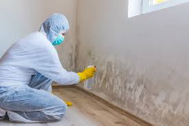 Why You Should Choose Our Mold Remediation Services in Clifton Gardens, NY